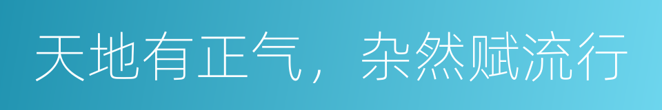 天地有正气，杂然赋流行的同义词