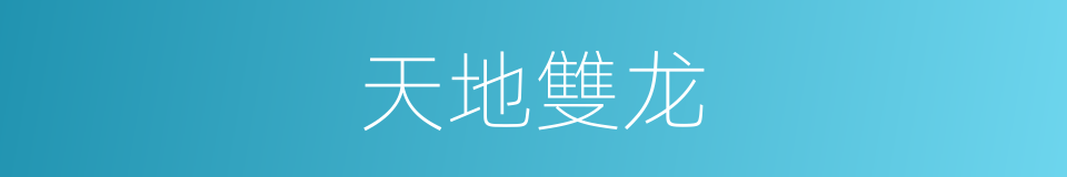 天地雙龙的同義詞