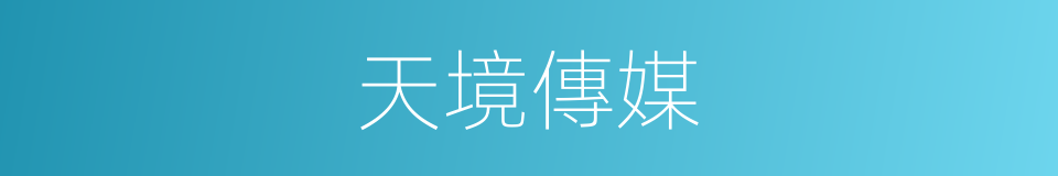 天境傳媒的同義詞