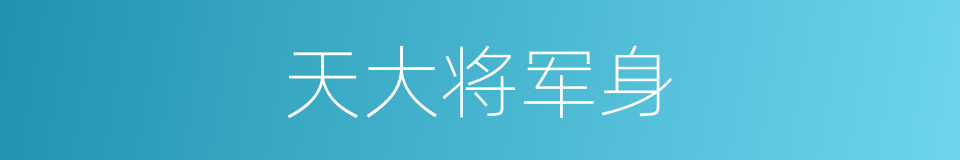 天大将军身的同义词