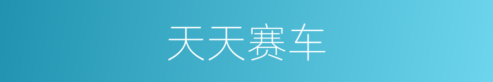 天天赛车的同义词