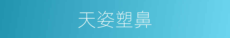 天姿塑鼻的同义词