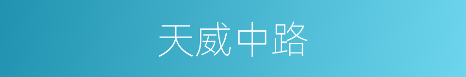 天威中路的同义词