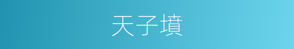 天子墳的同義詞