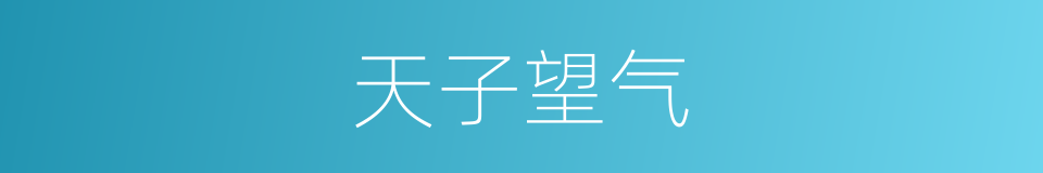 天子望气的同义词