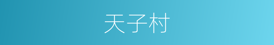 天子村的同义词