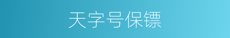 天字号保镖的同义词