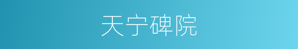 天宁碑院的同义词