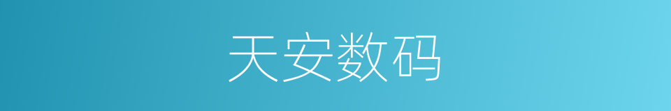 天安数码的同义词
