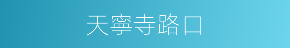 天寧寺路口的同義詞
