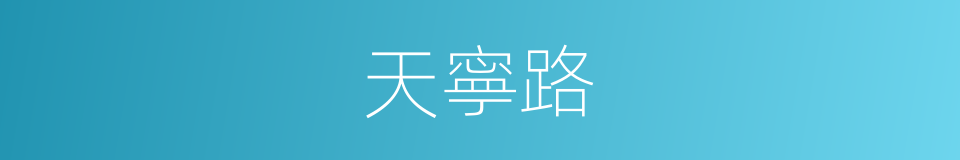 天寧路的同義詞