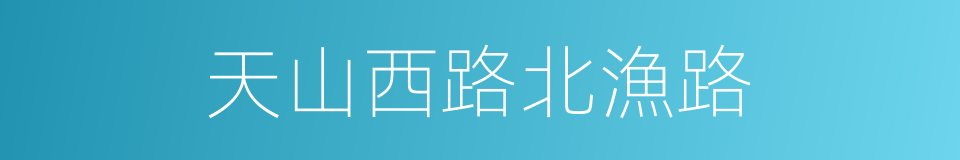 天山西路北漁路的同義詞