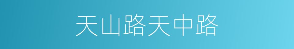 天山路天中路的同义词