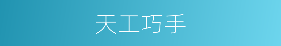 天工巧手的同义词