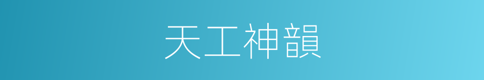 天工神韻的同義詞