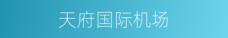 天府国际机场的同义词