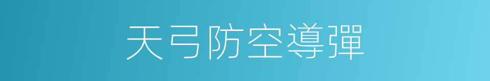 天弓防空導彈的同義詞