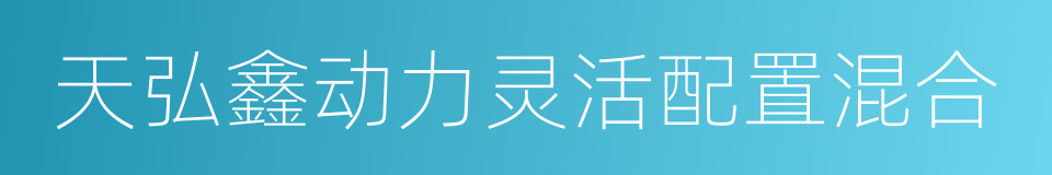 天弘鑫动力灵活配置混合的同义词