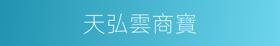 天弘雲商寶的同義詞