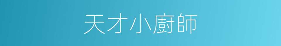 天才小廚師的同義詞