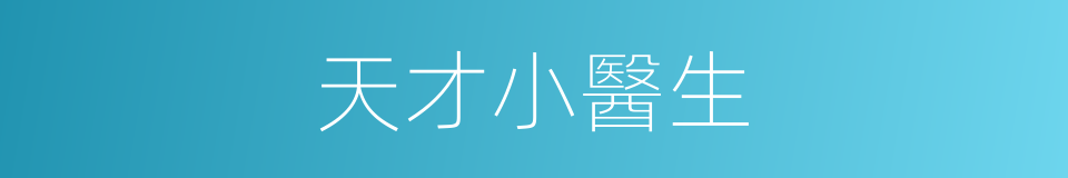 天才小醫生的同義詞