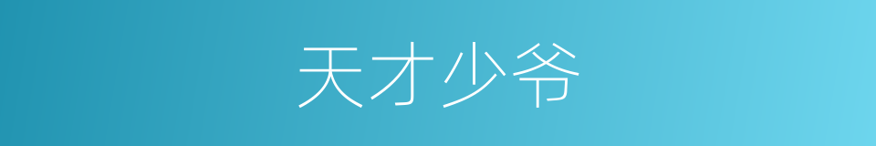 天才少爷的同义词