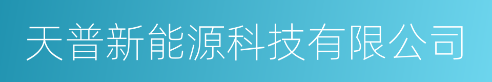 天普新能源科技有限公司的同义词