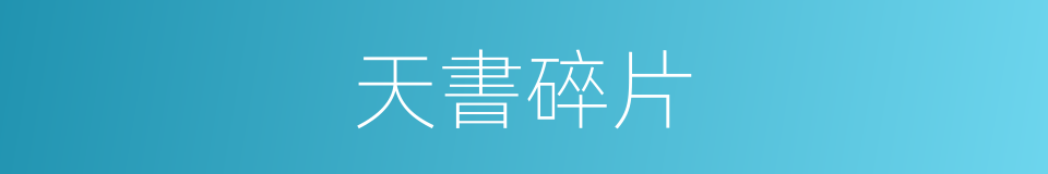 天書碎片的同義詞