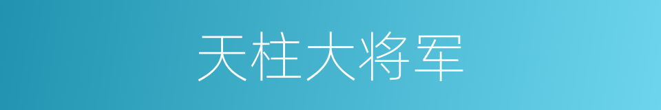 天柱大将军的同义词