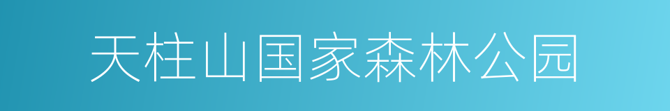 天柱山国家森林公园的同义词