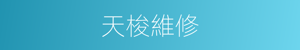 天梭維修的同義詞