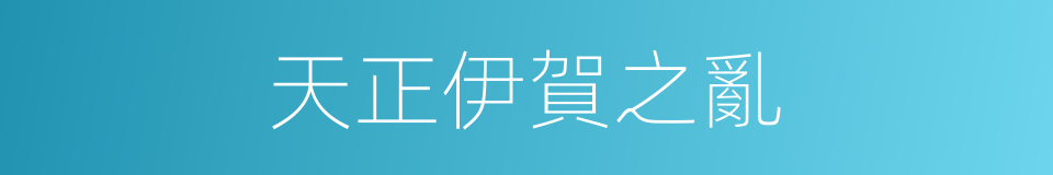 天正伊賀之亂的同義詞