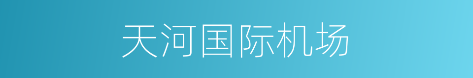 天河国际机场的同义词