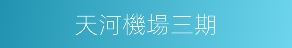 天河機場三期的同義詞