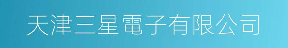 天津三星電子有限公司的同義詞