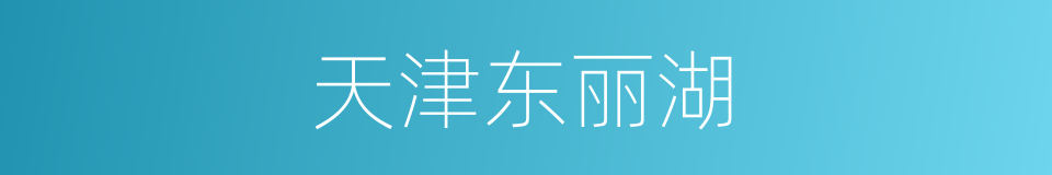 天津东丽湖的同义词