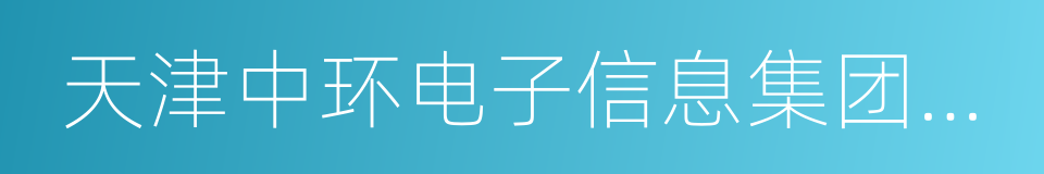 天津中环电子信息集团有限公司的同义词