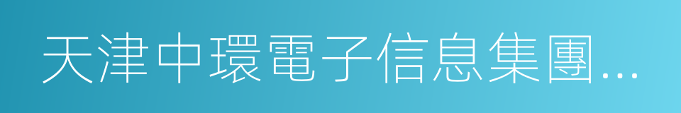 天津中環電子信息集團有限公司的同義詞