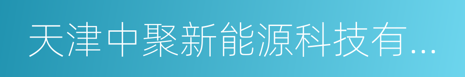 天津中聚新能源科技有限公司的同义词