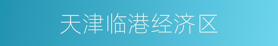 天津临港经济区的同义词