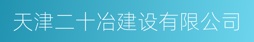 天津二十冶建设有限公司的同义词