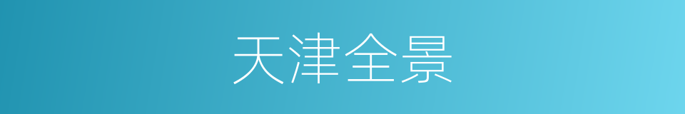 天津全景的同义词