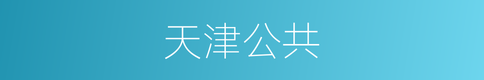 天津公共的同义词