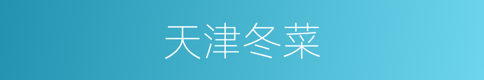 天津冬菜的同义词