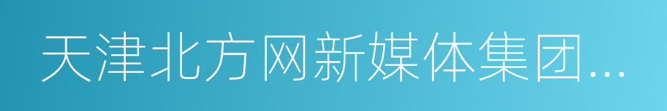 天津北方网新媒体集团股份有限公司的同义词