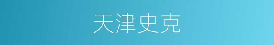 天津史克的同义词