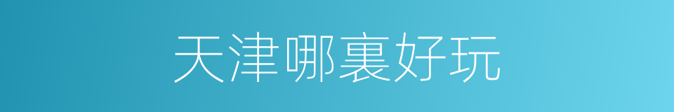 天津哪裏好玩的同義詞