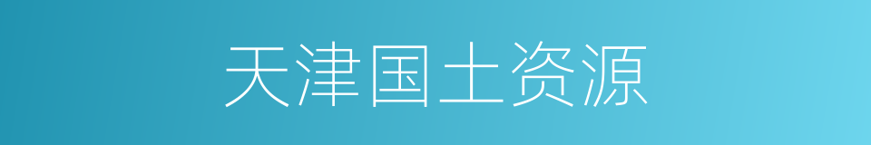 天津国土资源的同义词