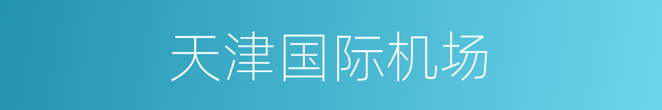 天津国际机场的同义词