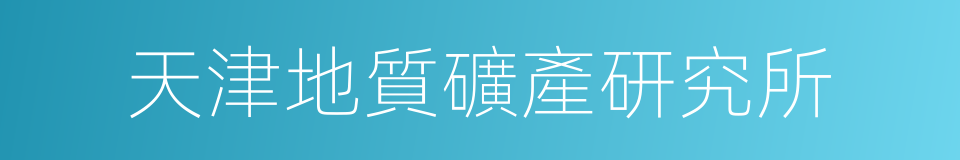 天津地質礦產研究所的同義詞